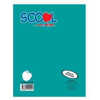 BLOCK CARTA SCOOL C5 CUADRO CHICO 80H