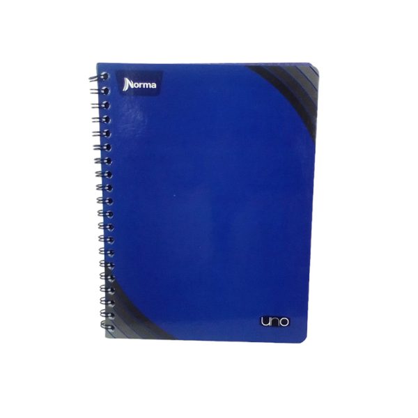 CUAD PROF 100H ESP UNO NORMA C5
