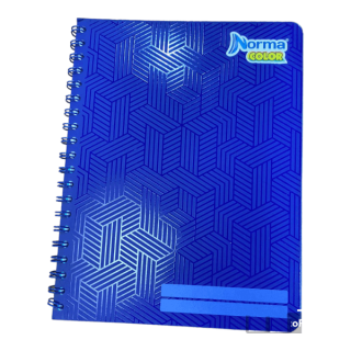 CUAD PROF 100H DOBLE ESP COLOR NORMA DOBLE RAYA