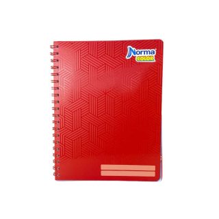 CUAD PROF 100H DOBLE ESP COLOR NORMA C5