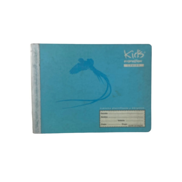 CUAD F ITAL 100H GRAP KIDS SCRIBE RAYA