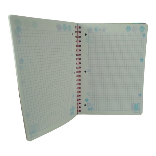 CUAD PROF 100H ESP P. RIGIDA  KIUT NORMA C7 - Image 2