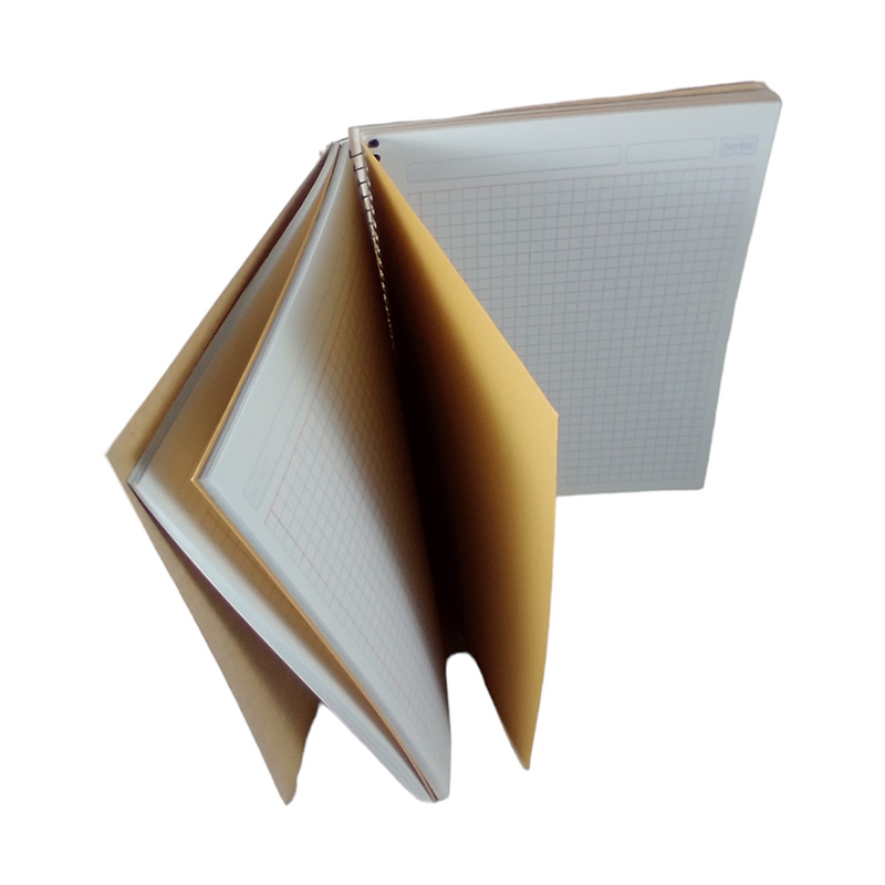 CUAD PROF 200H ESP MEGA 5 SEP C7 - Image 2