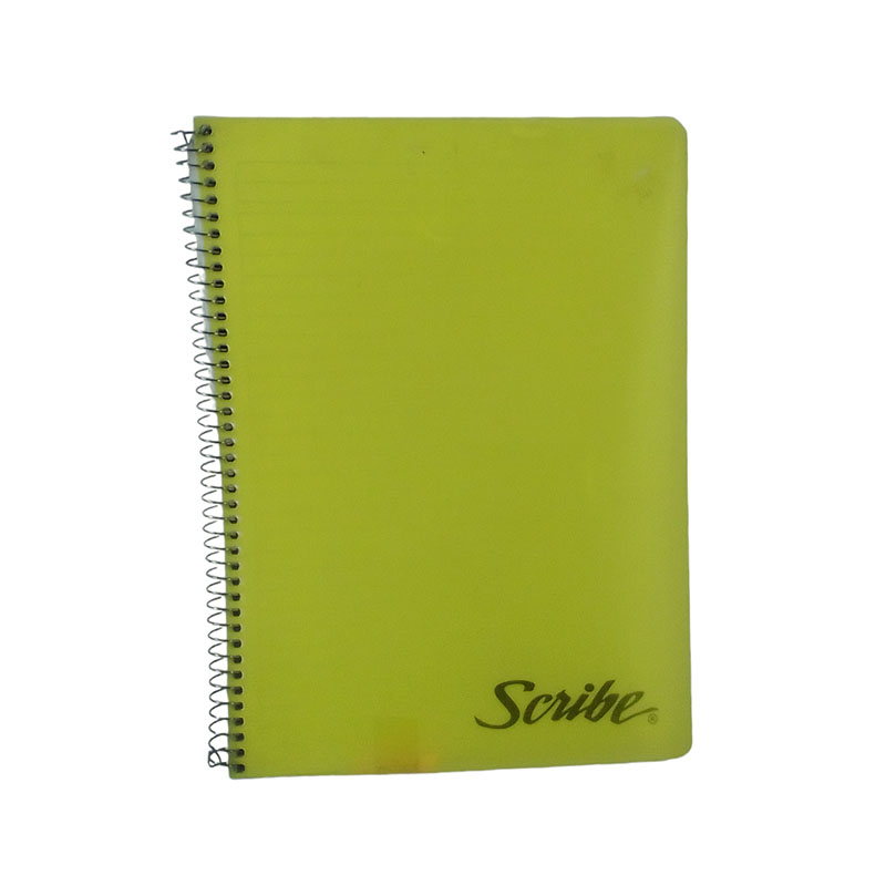 CUAD PROF 100H ESP CLASS PLAST SCRIBE MIXTO