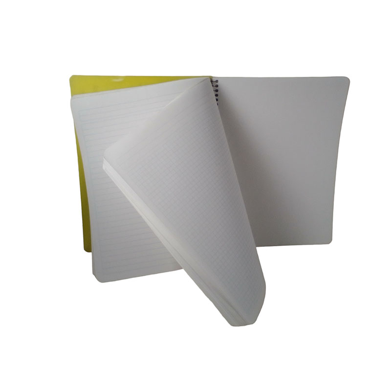 CUAD PROF 100H ESP CLASS PLAST SCRIBE MIXTO - Image 2