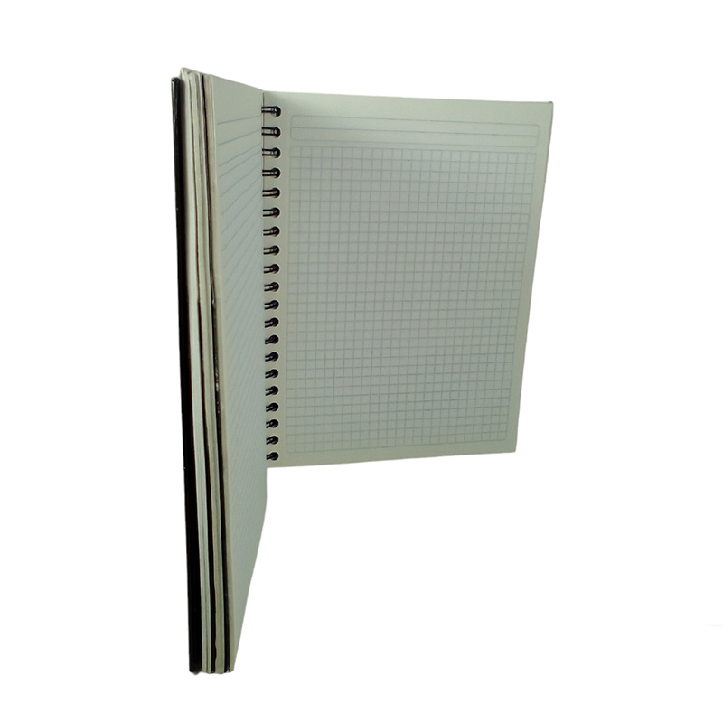 CUAD PROF 200H ESP P. RIGIDA WWE SCRIBE C5 - Image 2