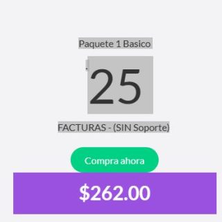 Paquete 1 Basico . 25 FACTURAS - (SIN Soporte)