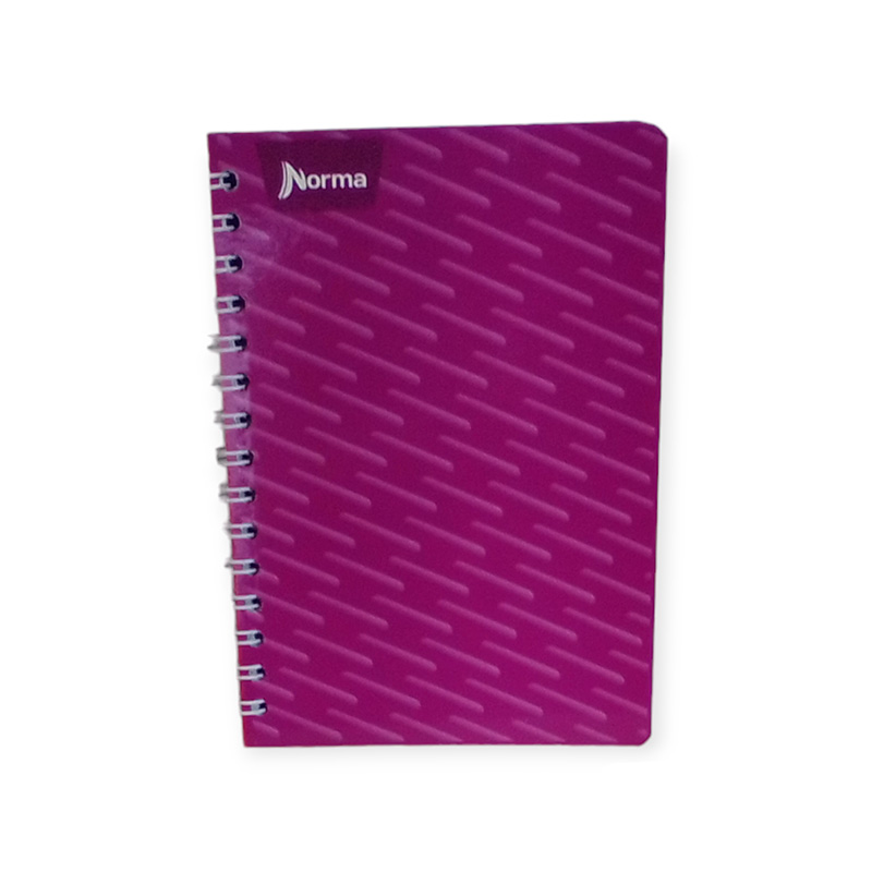 CUAD F FRANCES 100H ESP NORMA RAYA - Image 3