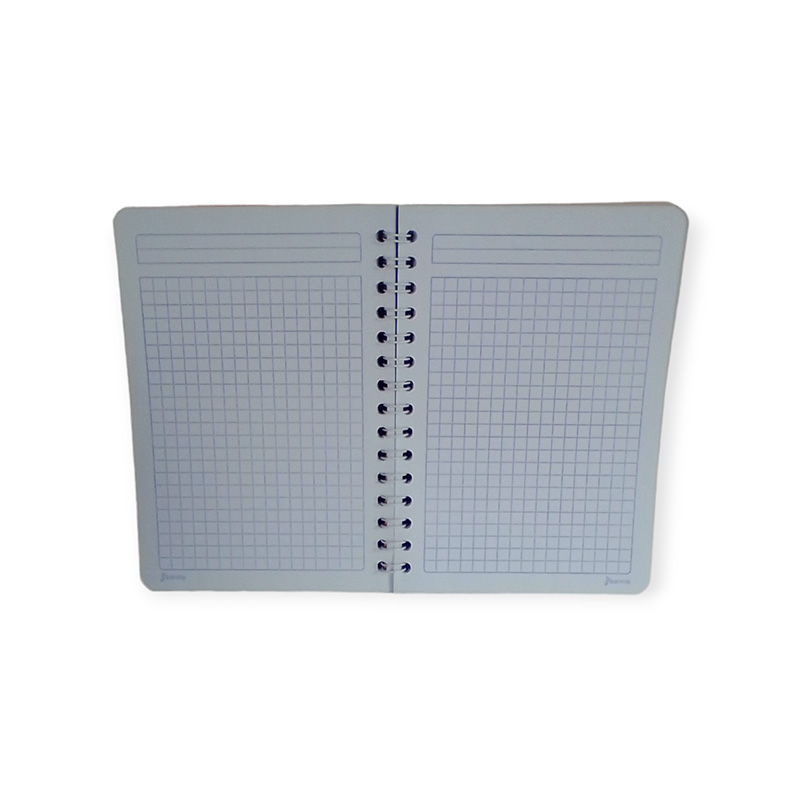 CUAD F FRANCES 100H ESP NORMA C7 - Image 5