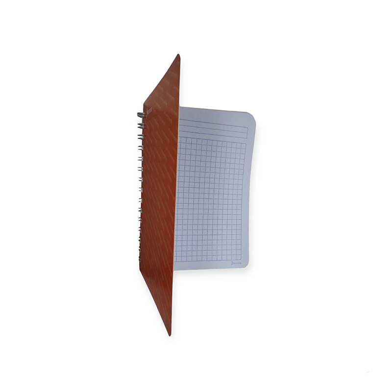 CUAD F FRANCES 100H ESP NORMA C7 - Image 6