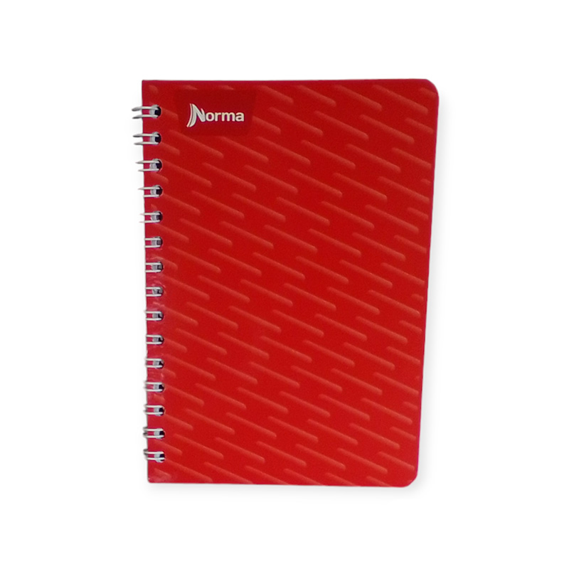 CUAD F FRANCES 100H ESP NORMA RAYA - Image 4