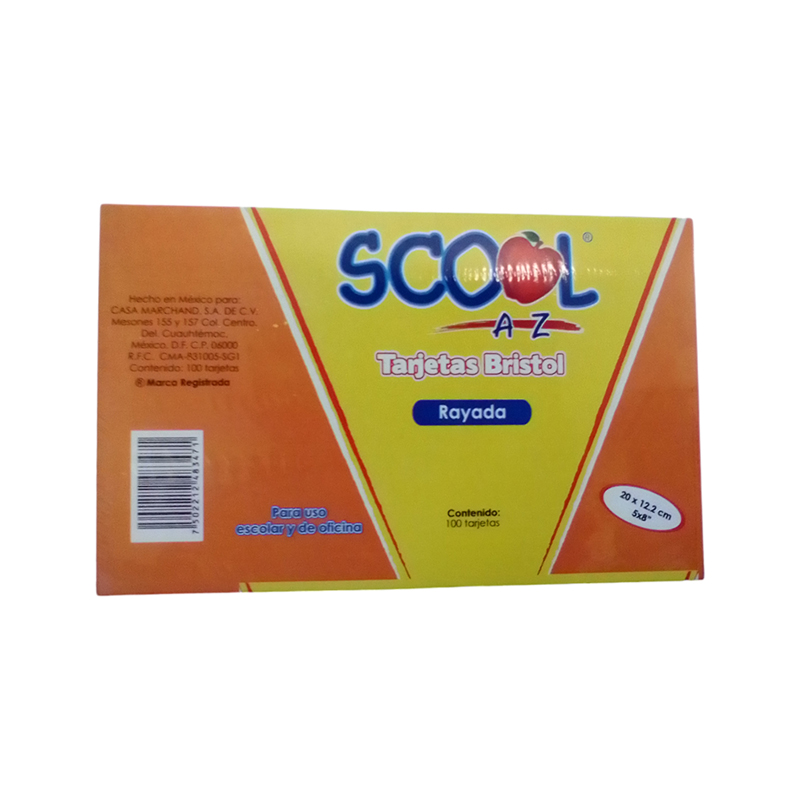TARJETA BRISTOL TRABAJO RAYA 5*8 SCOOL 100 12.2*20