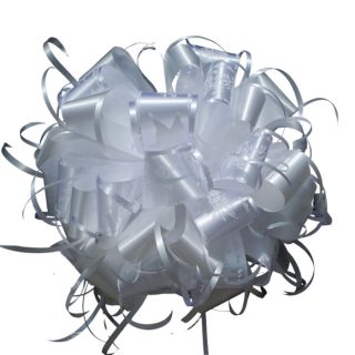 MOÑO GIGANTE BLANCO LISO COCHE CAMIONETA